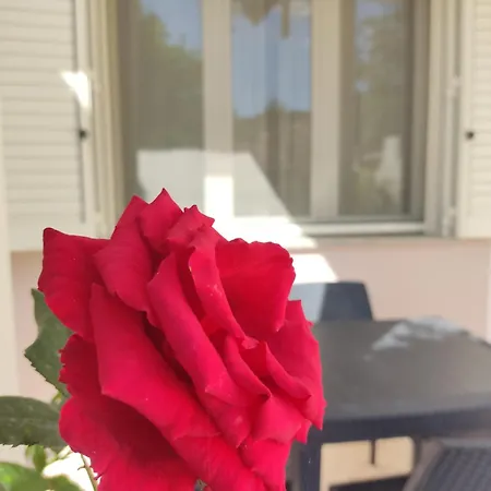 Pepi House Hébergement de vacances